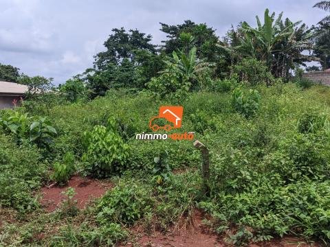 TERRAIN A VENDRE A NKOABANG