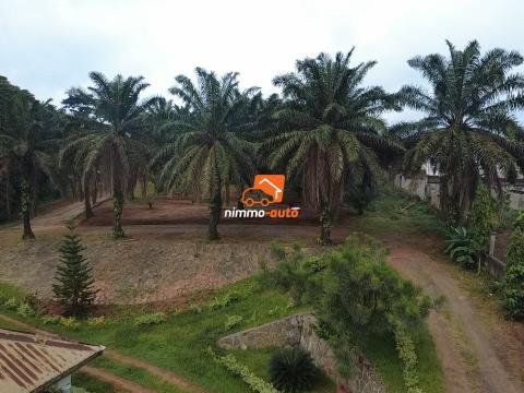 TERRAIN A VENDRE A ODZA PETIT MARCHE