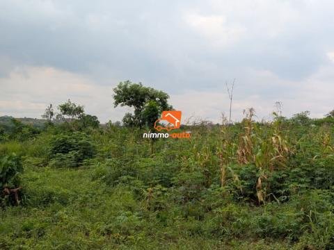 Plusieurs lots titrés bien situé à vendre a Nkozoa ,route bitumée non loin du lycée