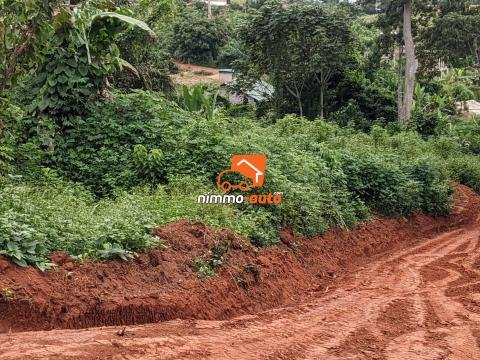 Terrain a vendre a nyom venant du petit marché nyom pour EDIMI NVOMO
