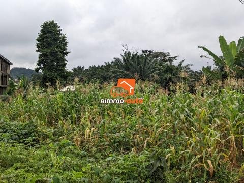 Terrain a vendre du côté de Nyom