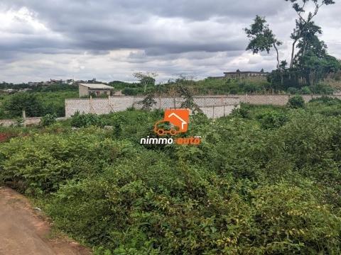 Terrain à vendre a Nkozoa plus précisément a entré lycée  1800 m2