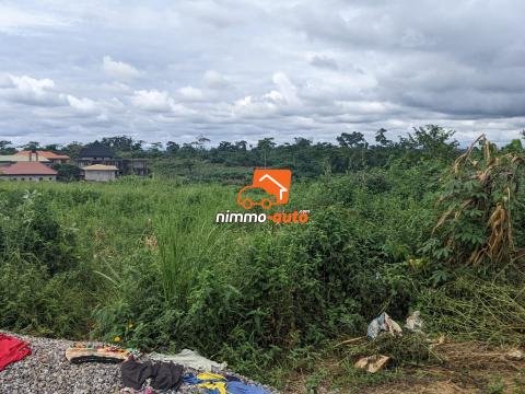 Terrain à vendre a Nkozoa plus précisément a entré lycée  4000 M2