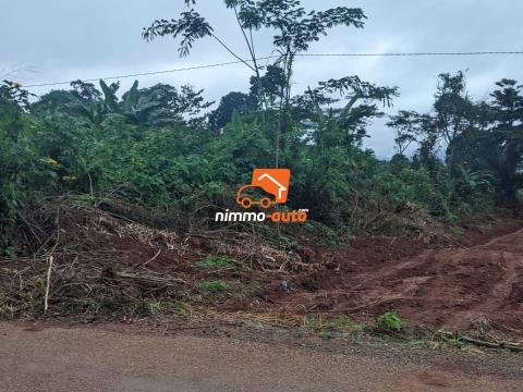 Terrain a vendre a Afanoya 9 hectares