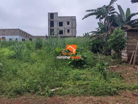 Terrain a vendre a Meyo avec 01 seul signataire  4000m2