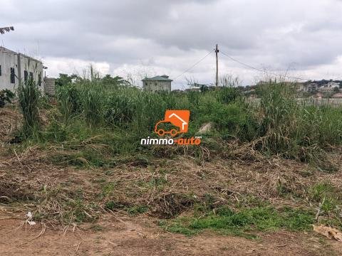 Terrain a vendre a odza borne 12