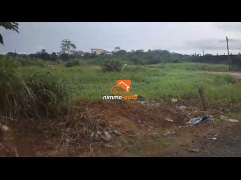 Terrain à Vendre Bonamoussadi Santa Barbara 503m2