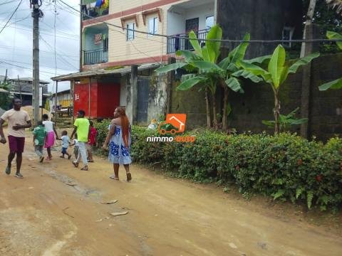 MAGNIFIQUE IMMEUBLE A VENDRE A DOUALA NDOGPASSI