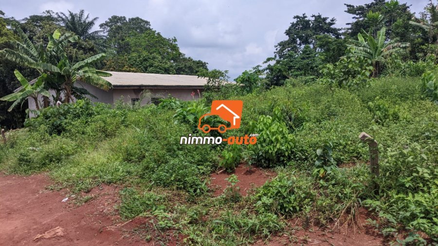 TERRAIN A VENDRE A NKOABANG