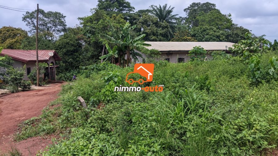 TERRAIN A VENDRE A NKOABANG