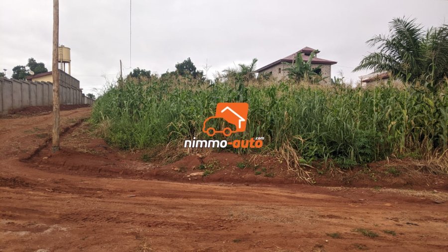 Terrain a vendre a meyo  500 M2