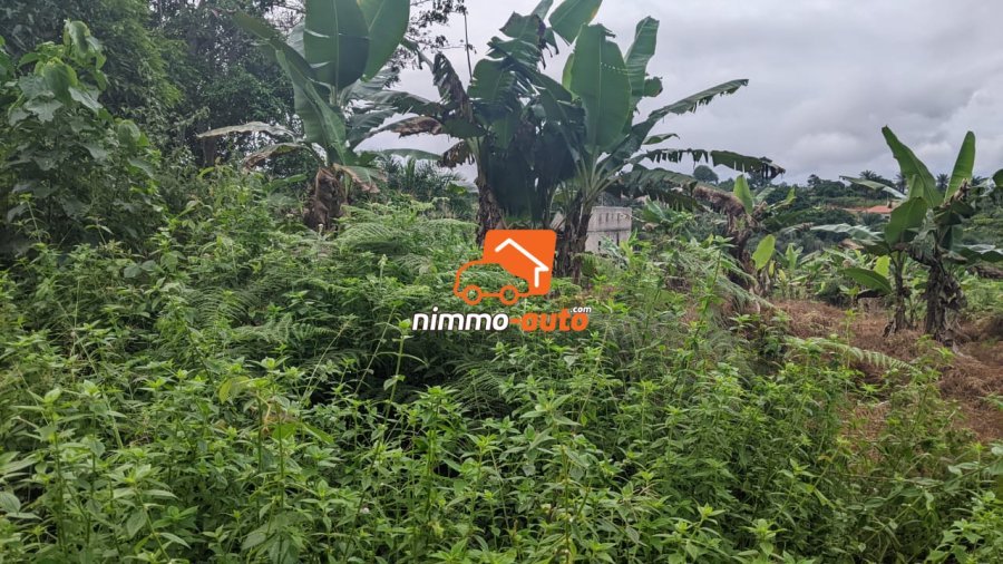 Terrain a vendre a Afanayo 2000 M2