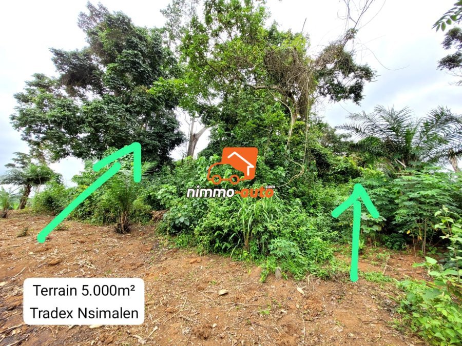 Terrain Titré de 5.000m² Morcelable à vendre à Nsimalen