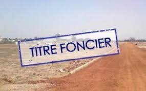 L’ANNULATION DU TITRE FONCIER AU CAMEROUN