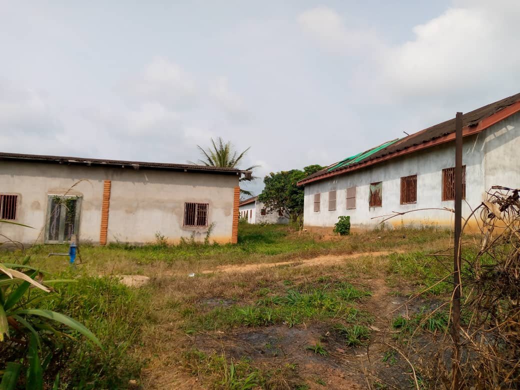 Terrain titré de plusieurs lots de 500m2 a vendre a eloumden2 pres de l'orphelinat de roger milla