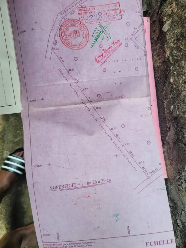 Terrain titré à vendre à Bekoko Douala
