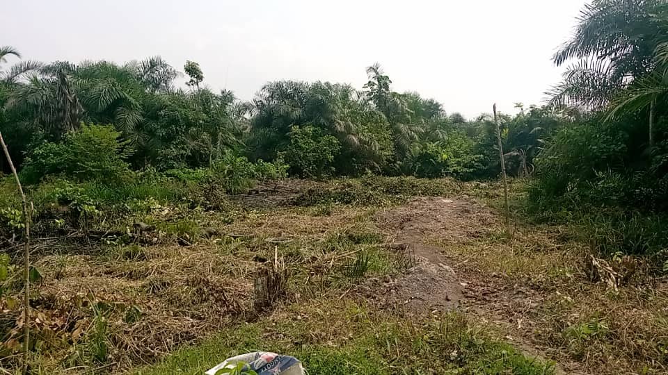 Terrain titré à vendre à Douala Bonaberi