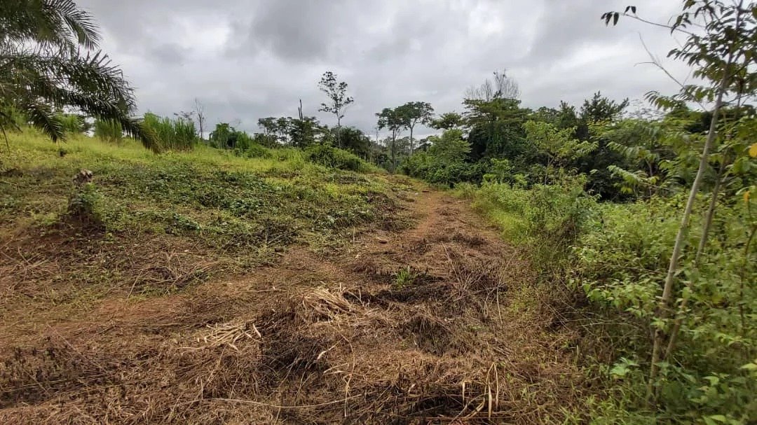 Vaste Terrain de 2.000m² à vendre à Nsimalen