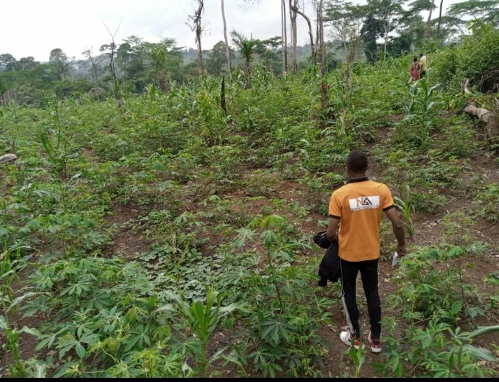 Terrain à vendre à Mfou titré et loti