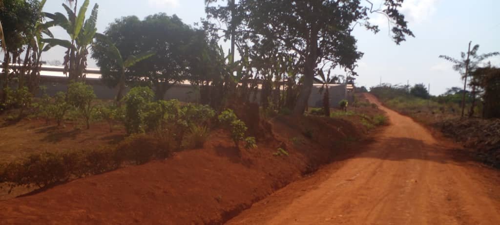 Terrain titré moins chèr à vendre à Yaoundé YEGUE-ASSI